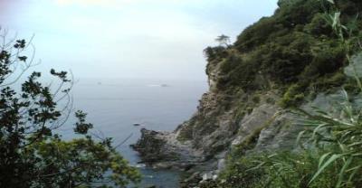 Anteprima - Clicca per ingrandire
